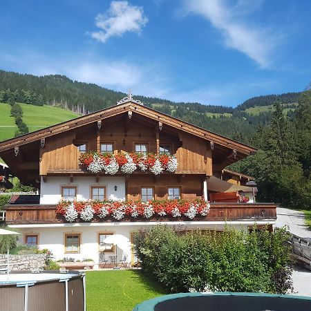 Апартаменты Studio Schwarzenauer Альпбах Экстерьер фото