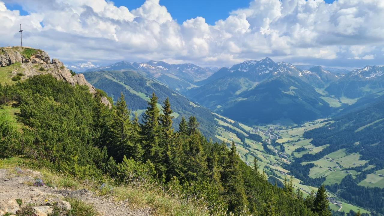 Апартаменты Studio Schwarzenauer Альпбах Экстерьер фото