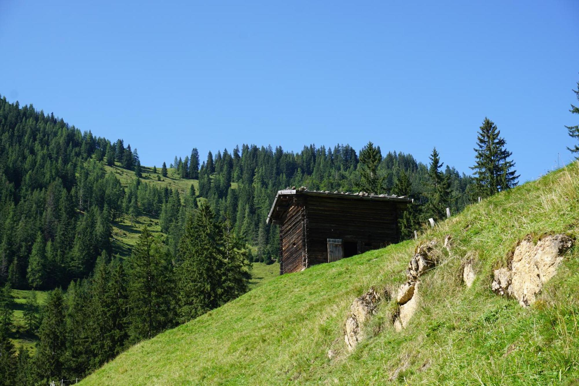 Апартаменты Studio Schwarzenauer Альпбах Экстерьер фото