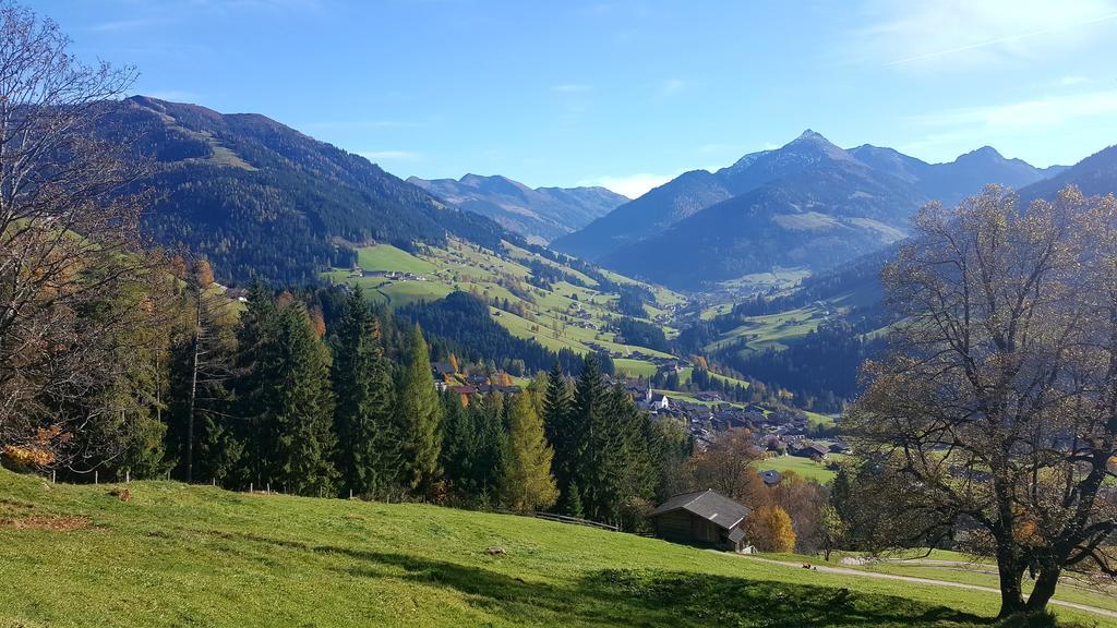 Апартаменты Studio Schwarzenauer Альпбах Экстерьер фото