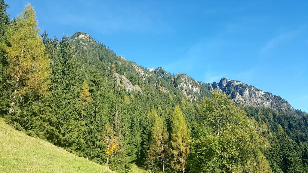 Апартаменты Studio Schwarzenauer Альпбах Экстерьер фото