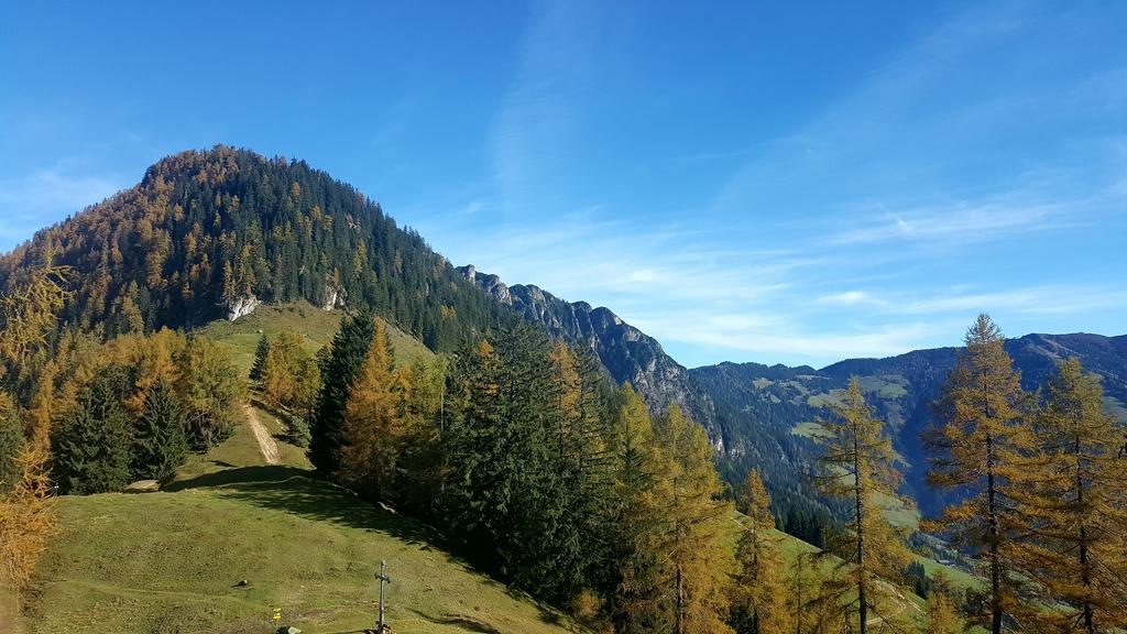 Апартаменты Studio Schwarzenauer Альпбах Экстерьер фото